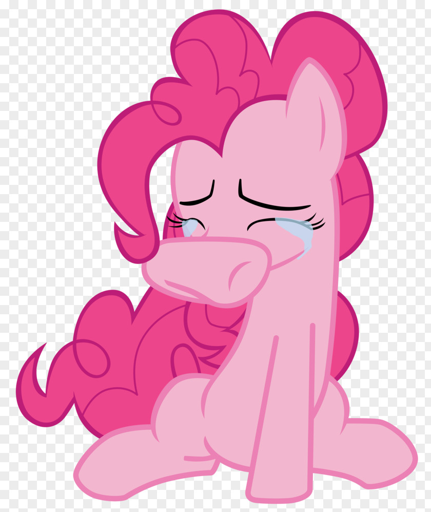 Pinkie Pie Pony Rainbow Dash Fan Art PNG