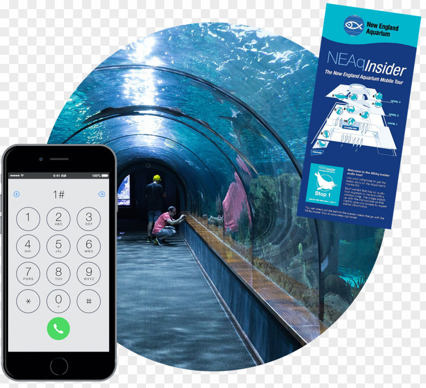 Zoo Aquarium Poseidon Undersea Resorts Hotel Utter Inn Public Blackpool PNG
