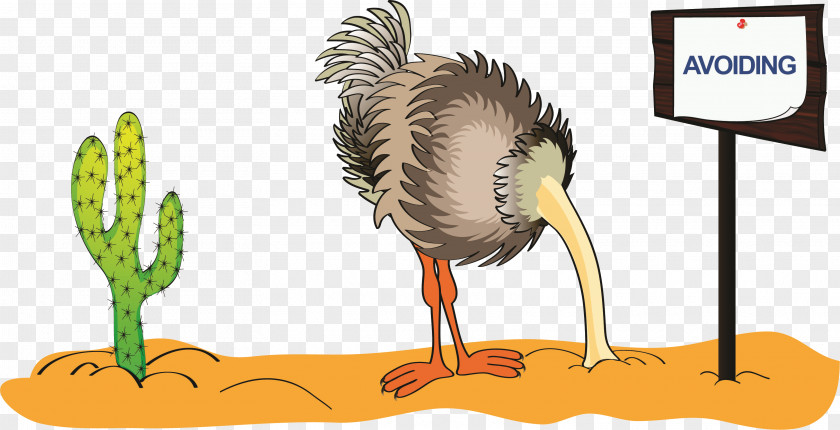Risk Common Ostrich Stock Photography Royalty-free Clip Art PNG