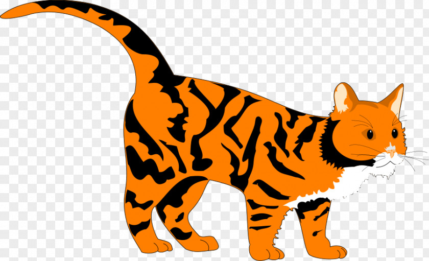 Tiger Vector Art Cat Coloring Book Clip PNG