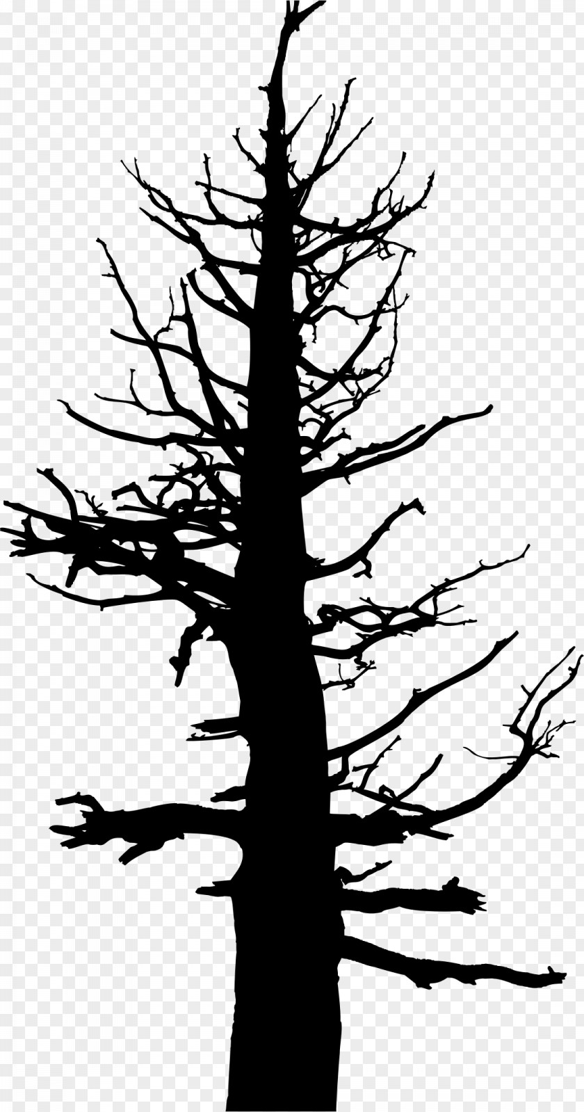 Tree Trunk Drawing Silhouette Snag Clip Art PNG