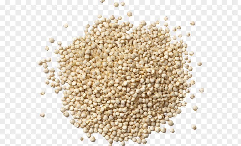 Yeast Dough Quinoa Organic Food Grain Stock Photography Nutrition PNG