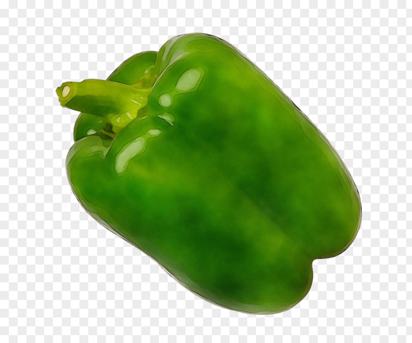 Chili Pepper Plant Bell Pimiento Green Peppers And PNG