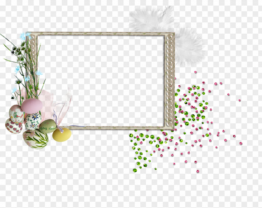Collage Picture Frames Photography PNG