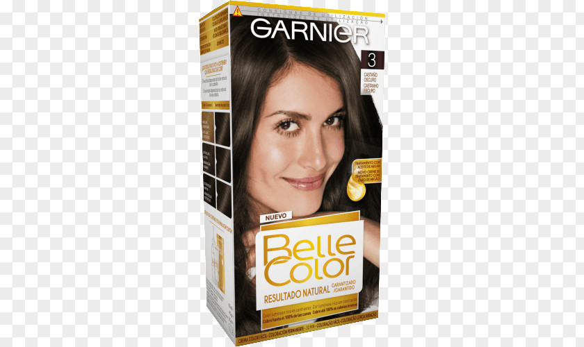 Hair Chestnut Color Capelli Garnier Permanents & Straighteners PNG