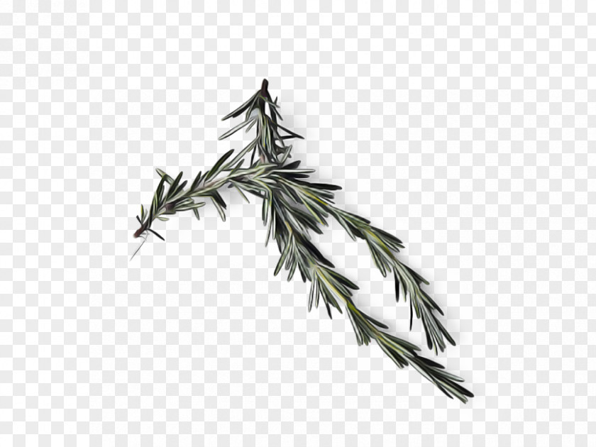 Metal American Larch Feather PNG