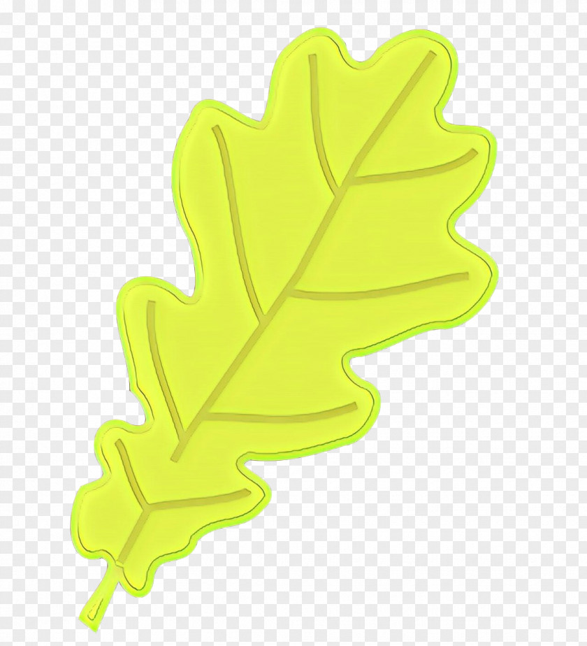 Plane Maple Leaf PNG