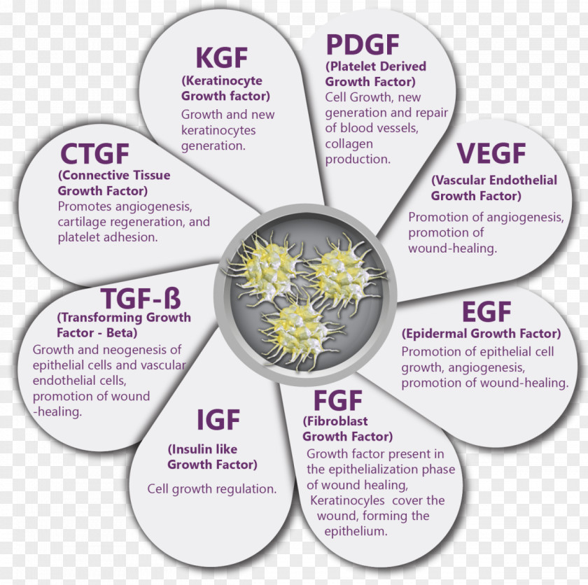 Plateletderived Growth Factor Knee Pain Hemarthrosis Bursitis Osgood–Schlatter Disease PNG