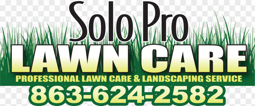 Prolawn Turf Lawn Haines City Davenport Lake Wales Landscaping PNG