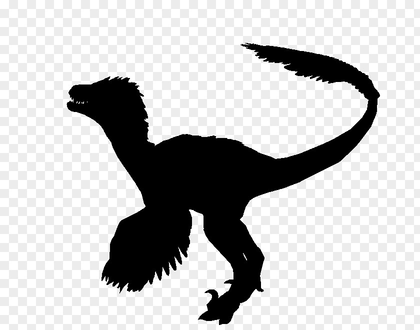 Silhouette Velociraptor Tyrannosaurus Character Clip Art PNG