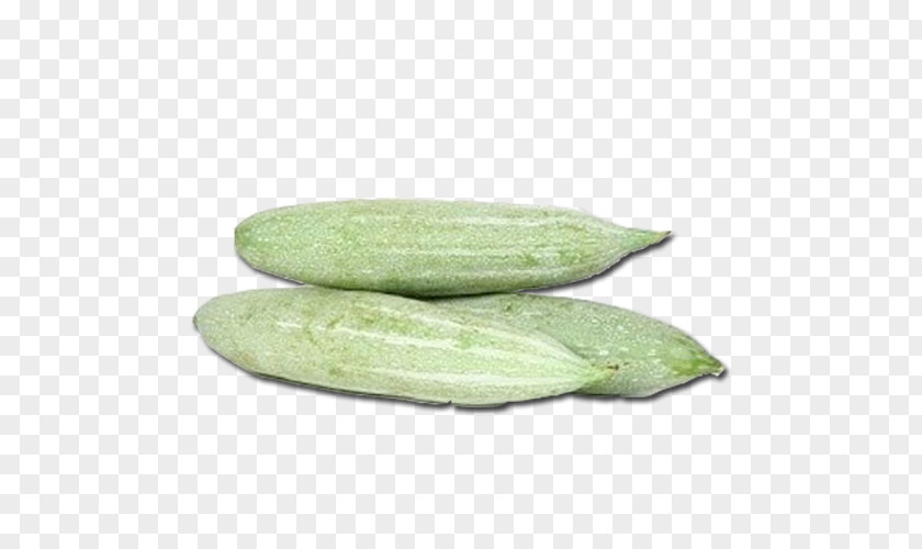 Snakes Kannur Vegetable Melon Cucumber PNG