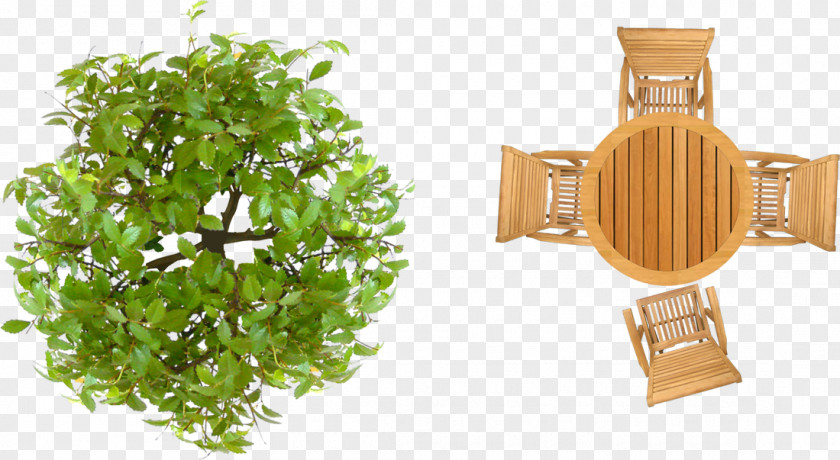 Tree Top View Garden Furniture Landscape Architecture Design PNG