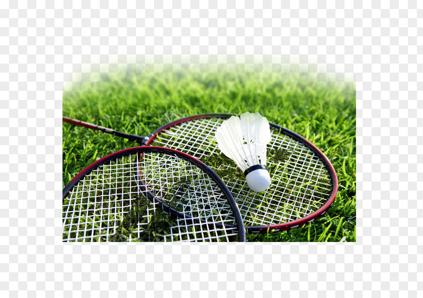 Badminton Sport Racket Smash Shuttlecock PNG