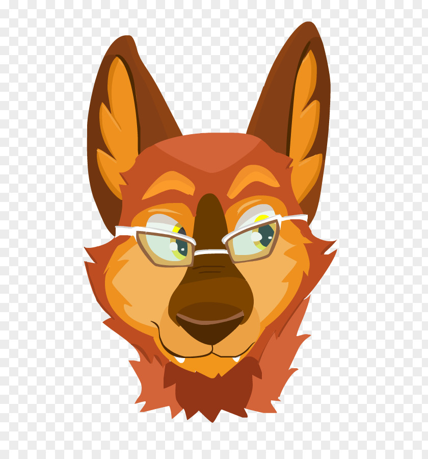 Dog Whiskers Red Fox Snout PNG