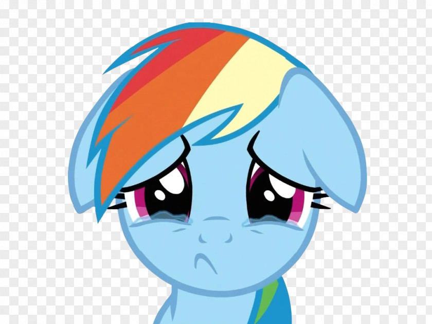 Face Rainbow Dash Applejack Pinkie Pie Rarity Sadness PNG