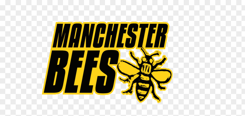 Manchester Bee Symbol Logo Brand Insect Font PNG
