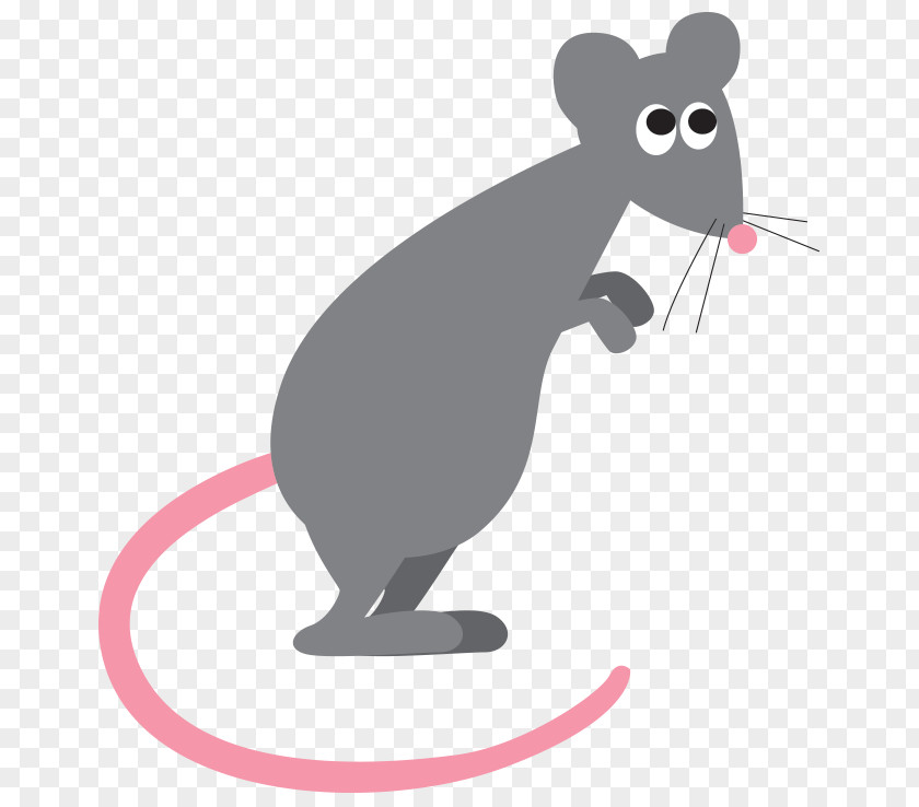 Rat Murids Mouse Black Cat Rodent PNG