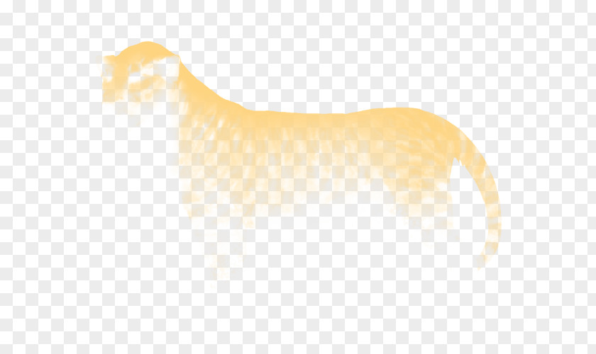 Royal Lion Canidae Cat Dog Snout Mammal PNG