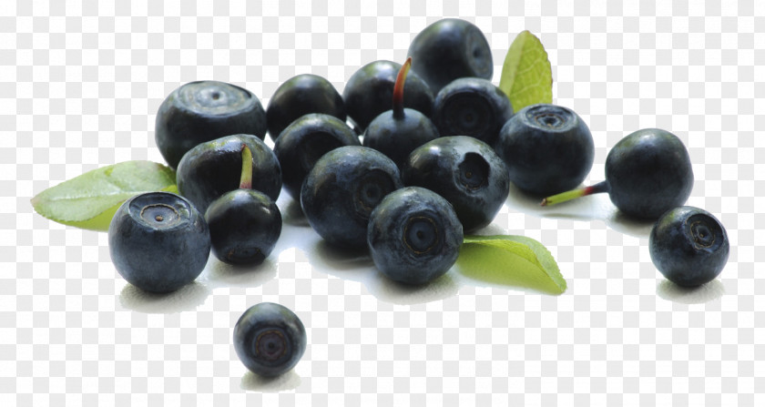 Berries Transparent Background Frutti Di Bosco Blueberry University Of British Columbia PNG