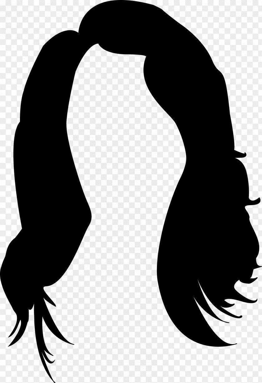 Black Hair Long PNG