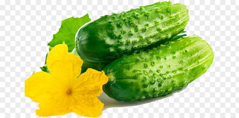 Cucumber Pickled Rassolnik Mixed Pickle Olivier Salad PNG