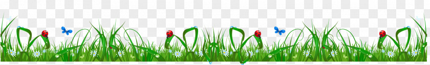 Flower Grass Cliparts Art Website Clip PNG