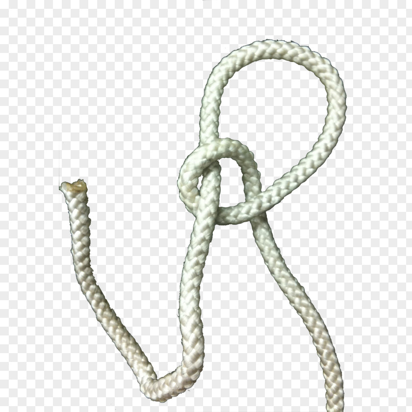 Rope Bowline On A Bight Knot PNG