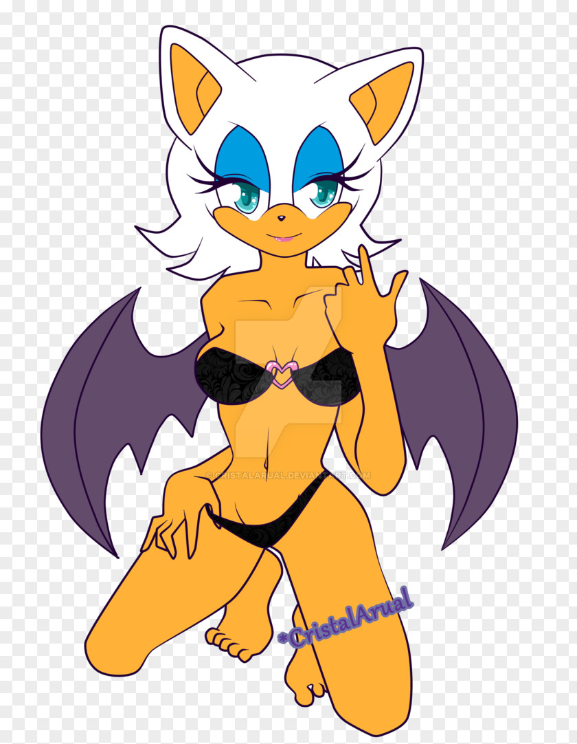 Rouge The Bat Amy Rose Ariciul Sonic & Knuckles Echidna PNG