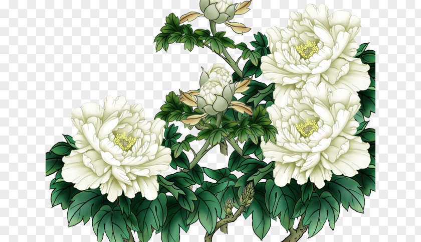 White Peony Flowers Painting Floral Design Moutan Ink Wash U767du7261u4e39 PNG