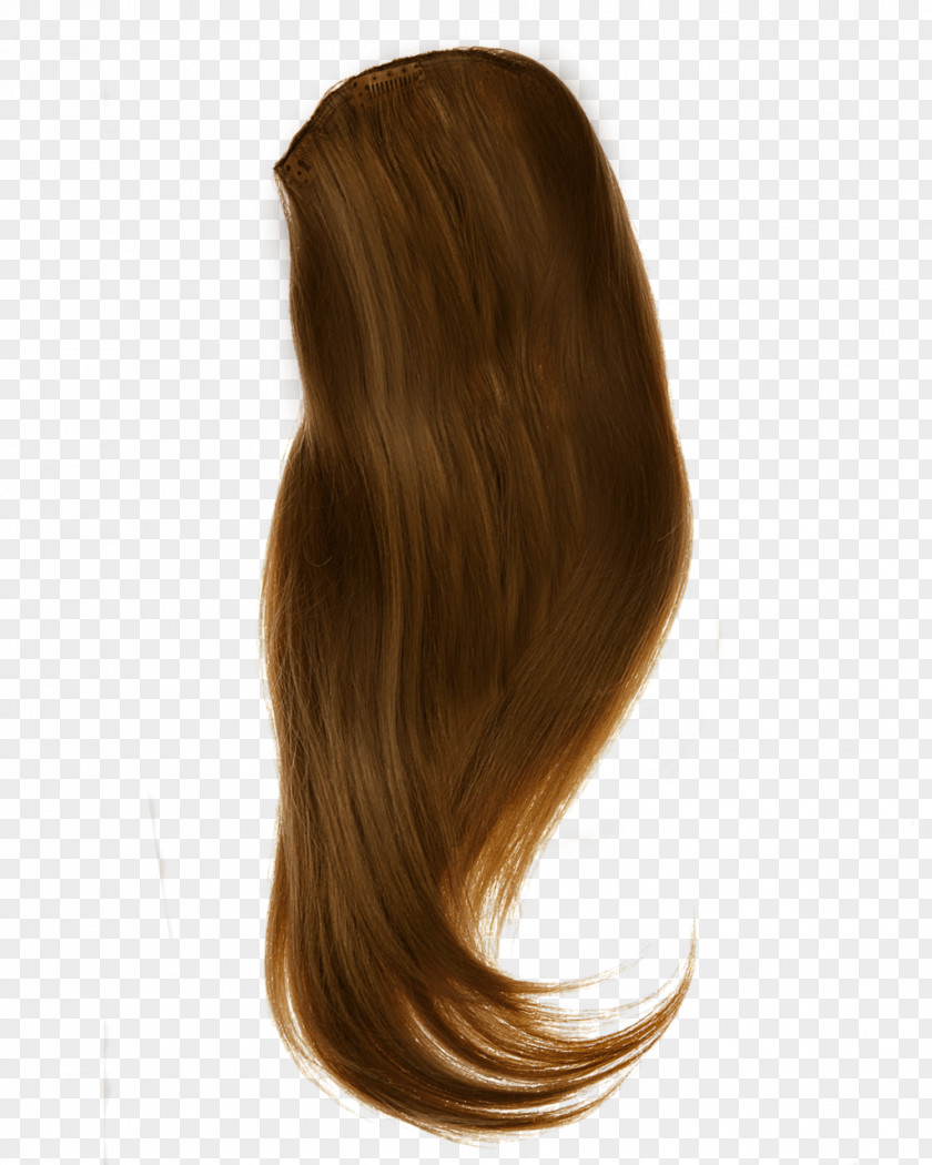Women Hair Image Fifth Harmony Computer File PNG