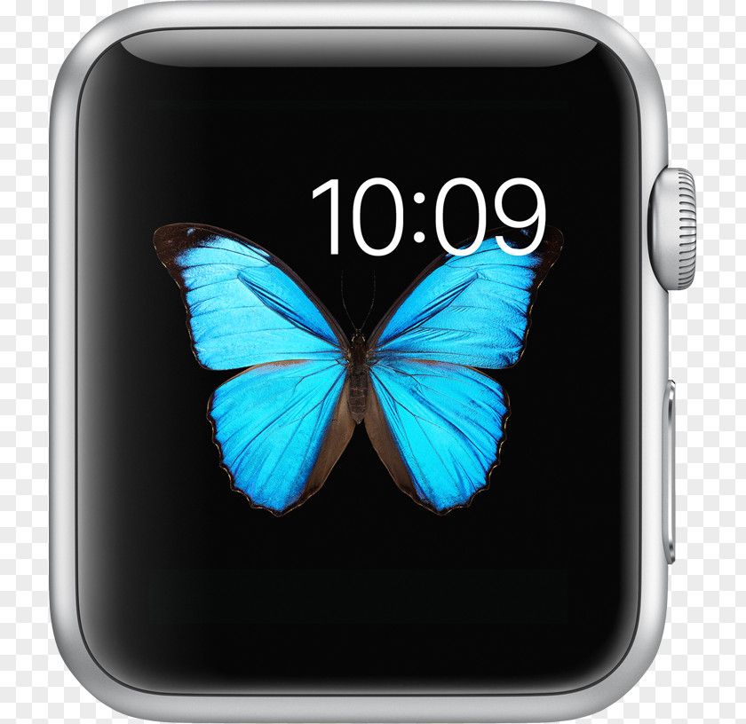 Apple Watch Clips Series 1 Enclosure Material: Stainless Steel Material (watch Strap): L... PNG