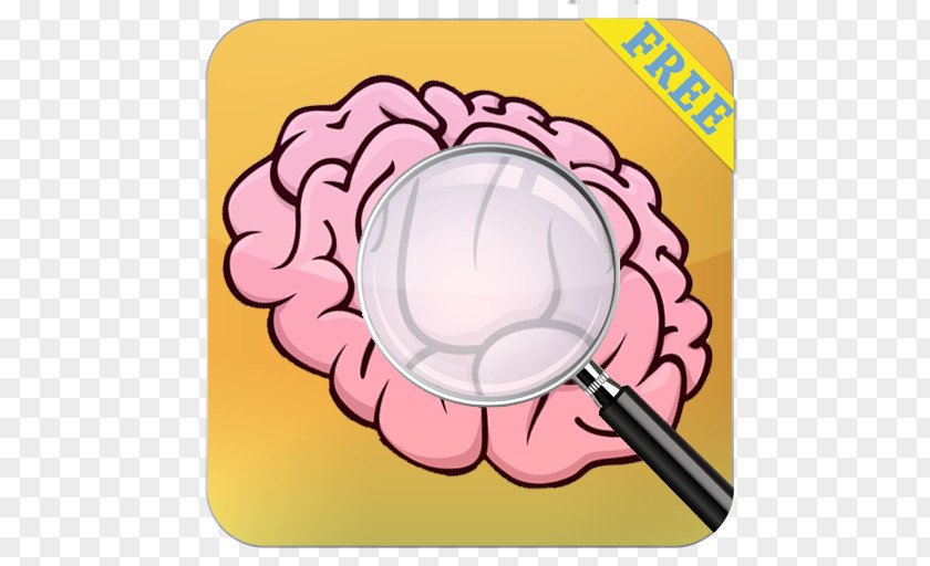 Brain Personality Clip Art PNG