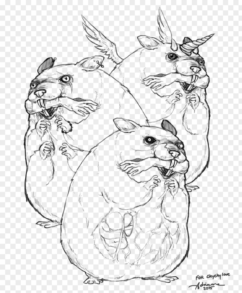 Hamster Drawing Art Cat PNG