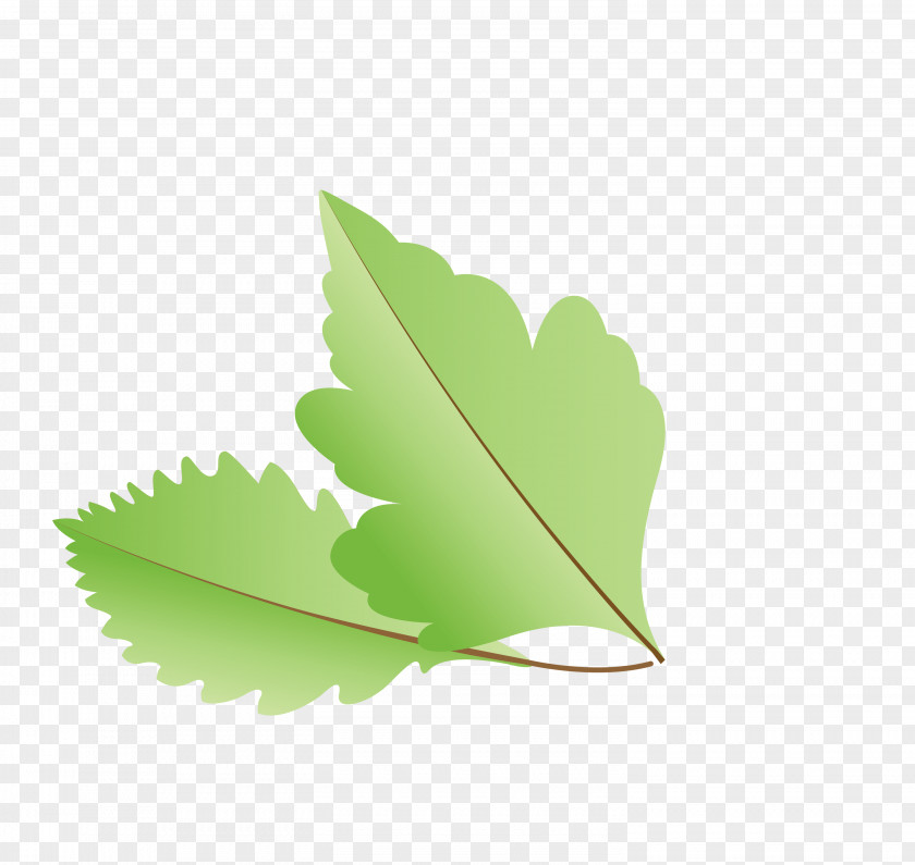 Leaf Green M-tree Meter Tree PNG