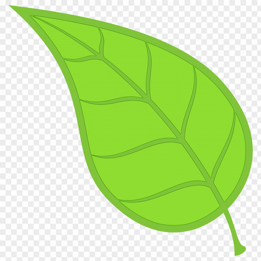 Vegetarian Food Tree Banana Leaf PNG