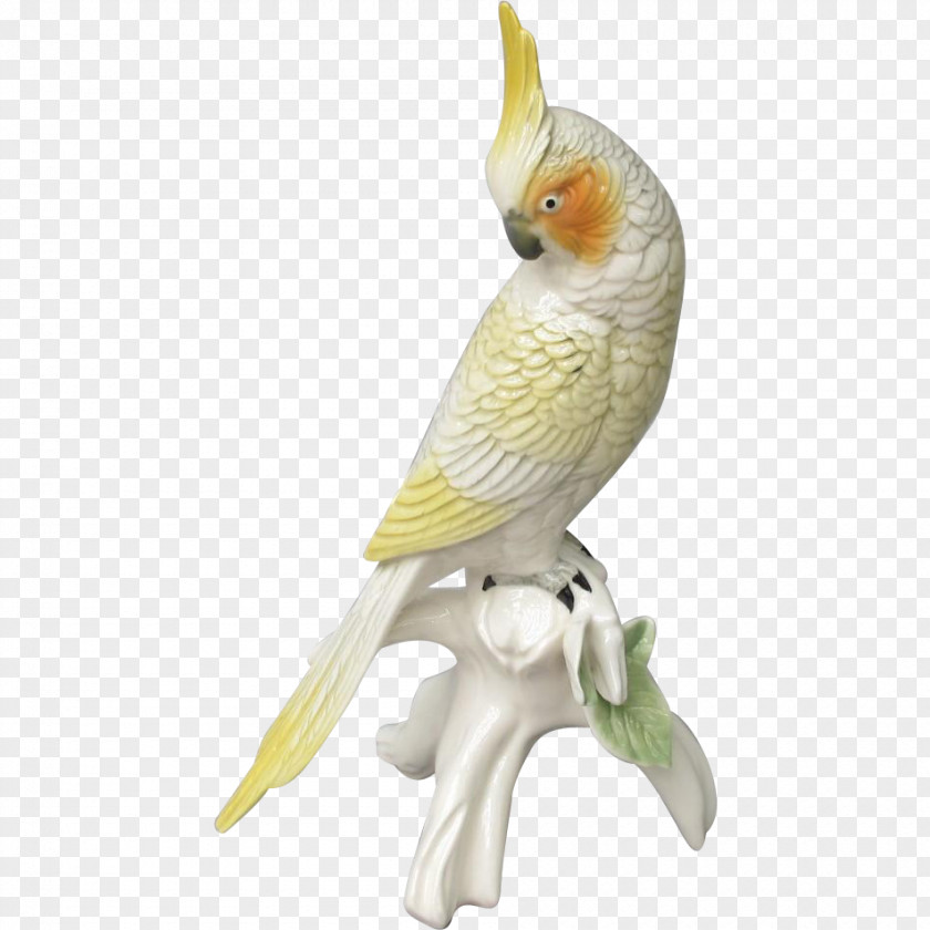 Bird Budgerigar Cockatiel Cockatoo Parakeet PNG