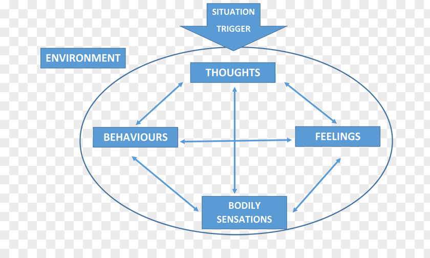 Cognitive Behavioral Therapy Psychology Diagram Psychotherapist PNG