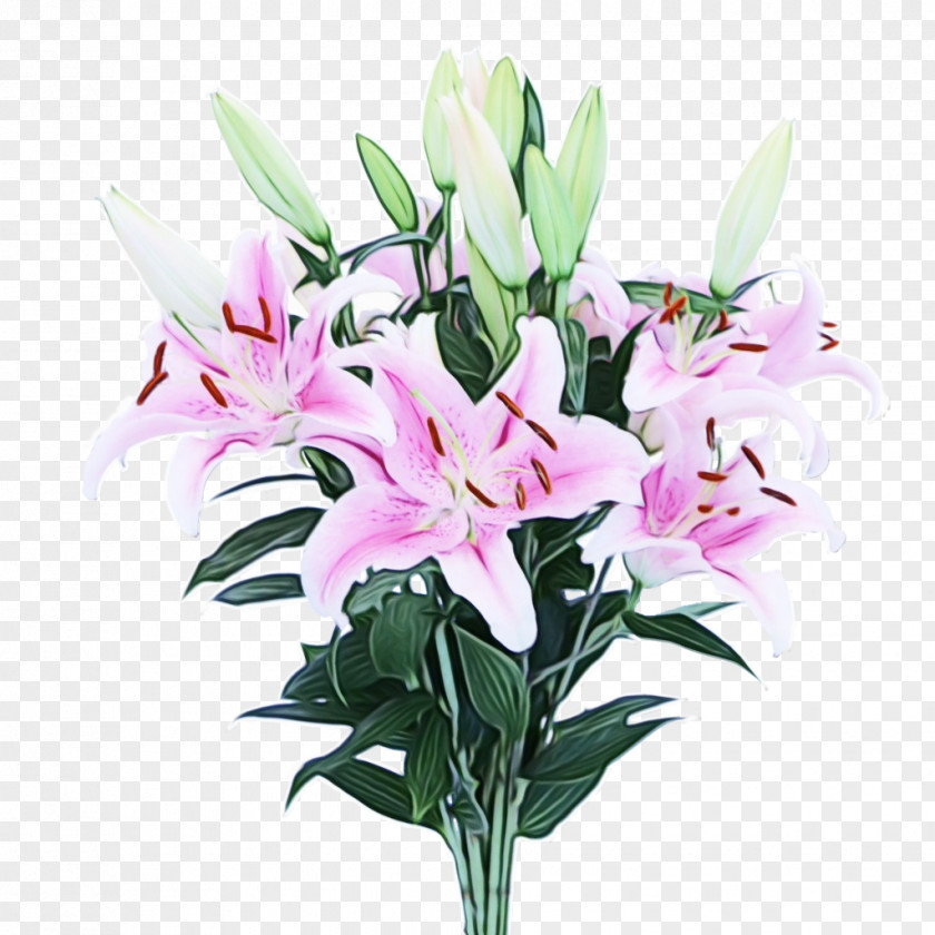 Dendrobium Artificial Flower Watercolor Pink Flowers PNG