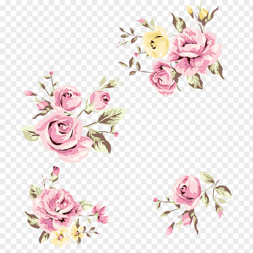 Rose Family Plant Cherry Blossom Background PNG