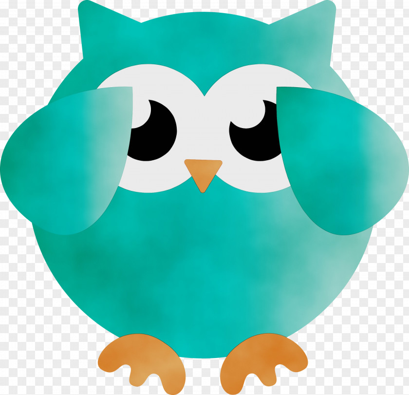 Birds Beak Bird Of Prey Owl M Teal PNG