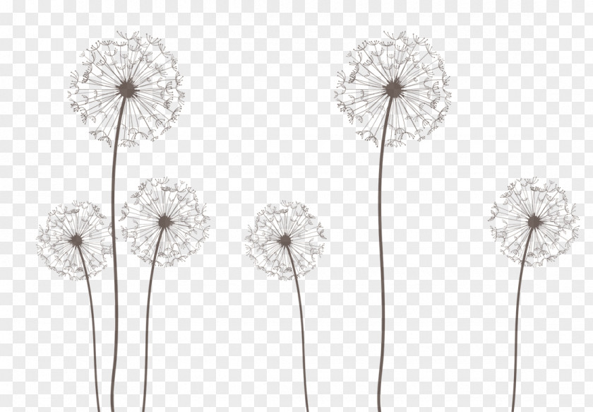 Dandelion Seeds Royalty-free Clip Art PNG