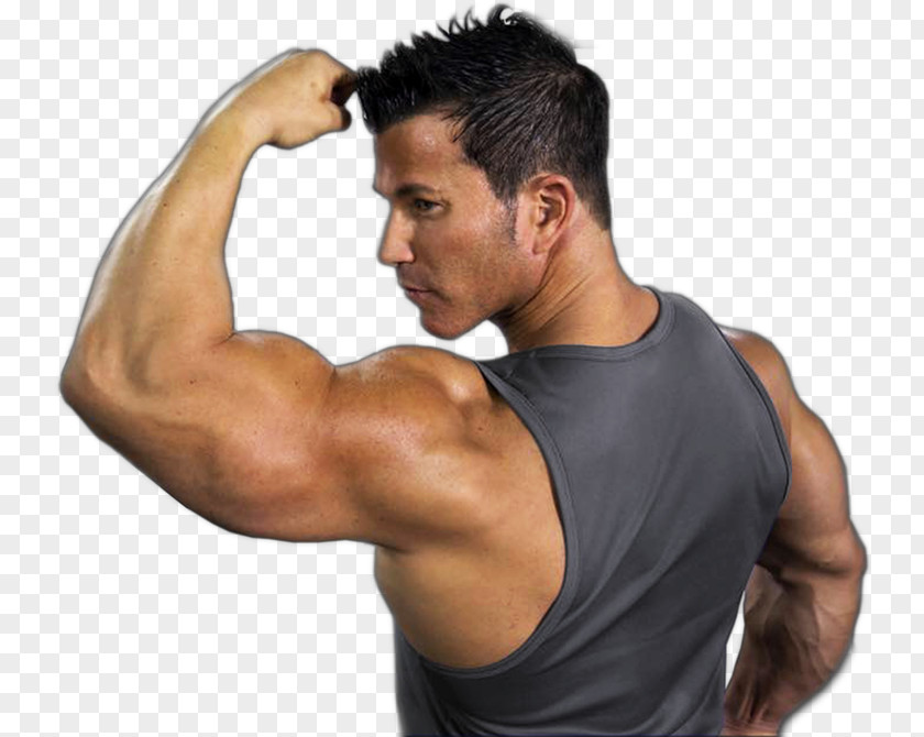 Eminem Sagi Kalev Bodybuilding Physical Fitness Male Arm PNG