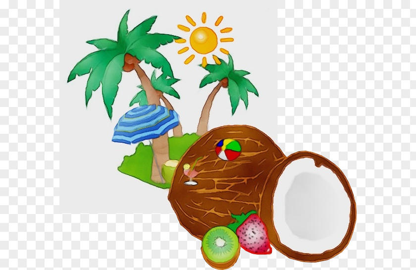 Fruit Palm Tree Coconut Drawing PNG