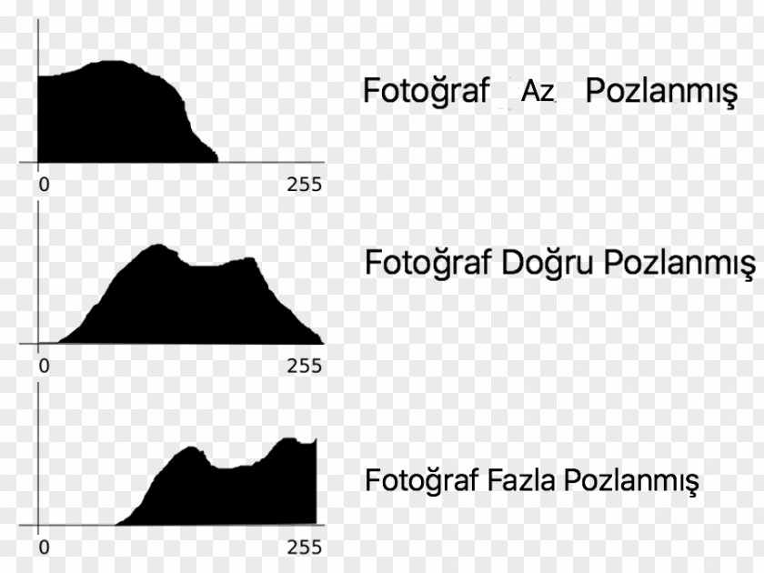 Histogram Ideas Image Photography Exposure PNG