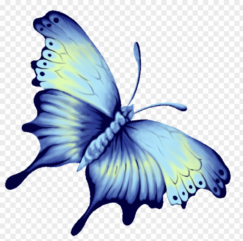Blue Butterfly Download Computer File PNG
