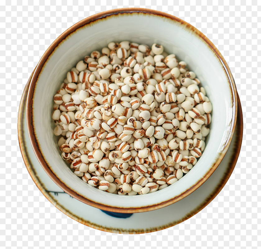 Dampness Of Barley Cereal Download Icon PNG