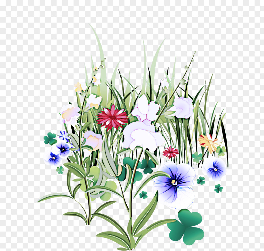 Flower Plant Wildflower Delphinium Iris PNG