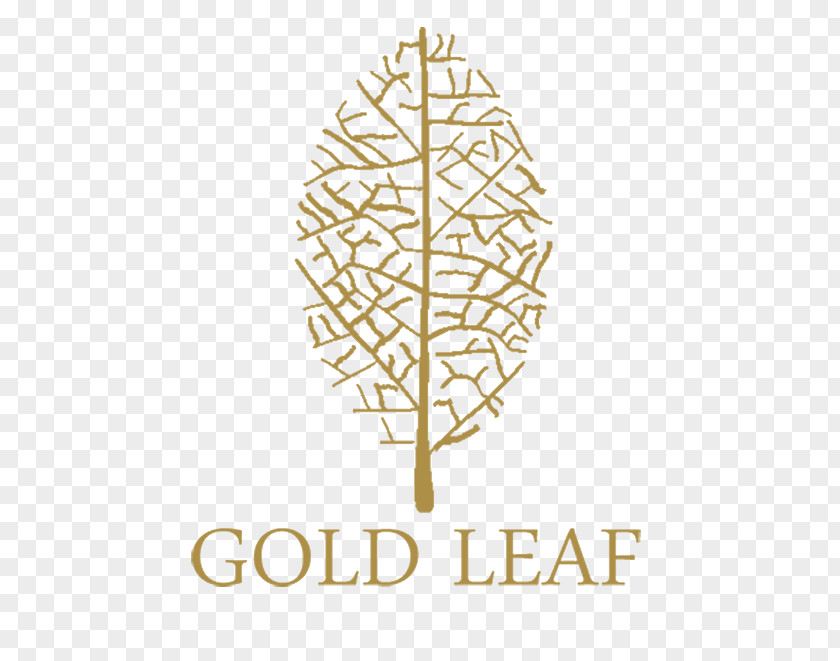 Gold Leaf St. Clair College Tree Twig Font PNG