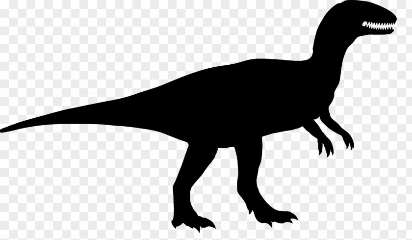 Tyrannosaurus Beak Clip Art Velociraptor Fauna PNG