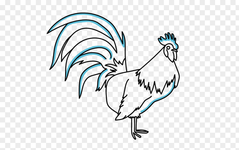 Calendar Year Of The Rooster Line Art Drawing Sketch PNG